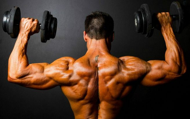 Vetverbranders Gericht op Vrouwelijke Bodybuilders